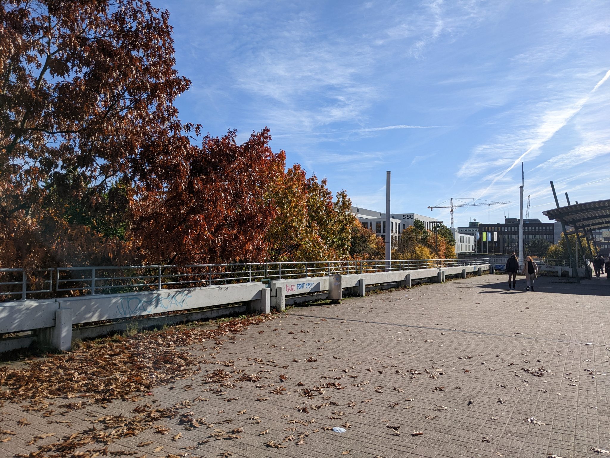 Exkursion Gymnasium An Der Schweizer Allee